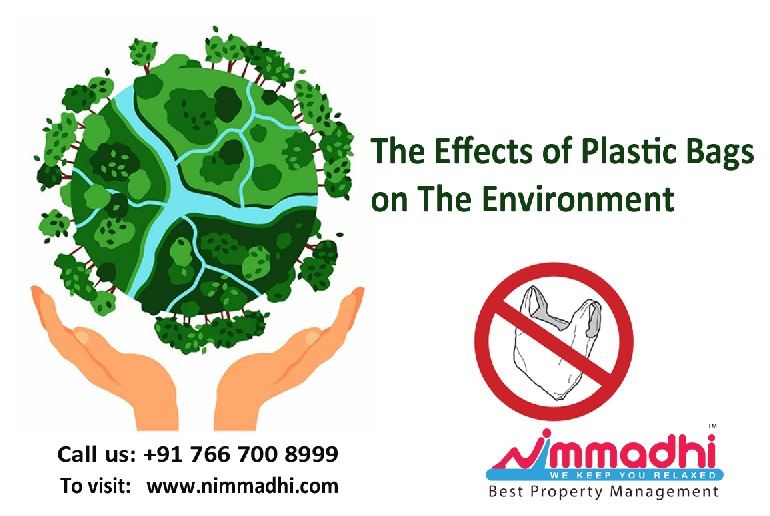 The Effects of Plastic Bags on The Environment
